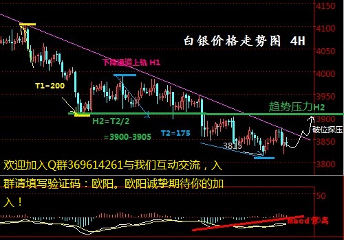 馬桶刷架系列 第3頁