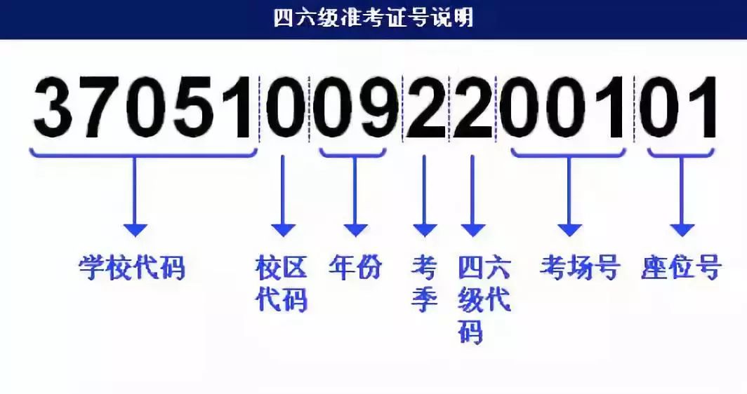 劉伯溫五肖八碼鳳凰網，實效策略分析與專業解讀，可靠解答解釋定義_版蕩38.91.86